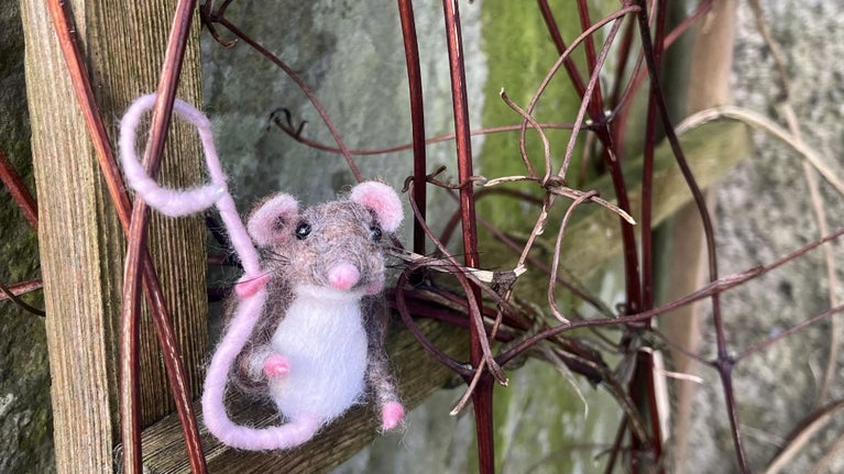 Spot Hunca Munca and Tom Thumb as they get up to all sorts of mischief throughout the house at Hill Top